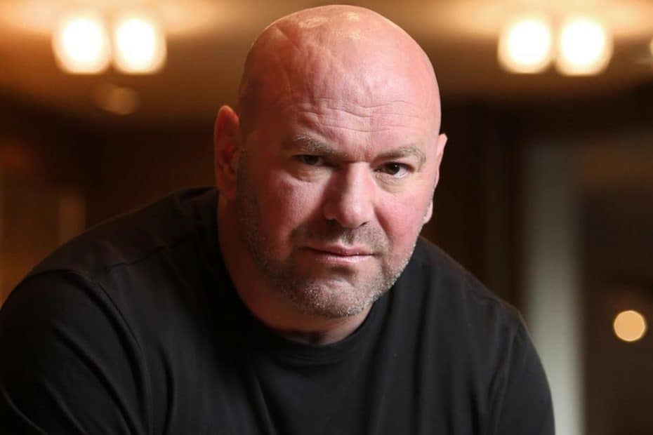 Dana White UFC 282