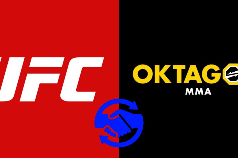UFC OKTAGON